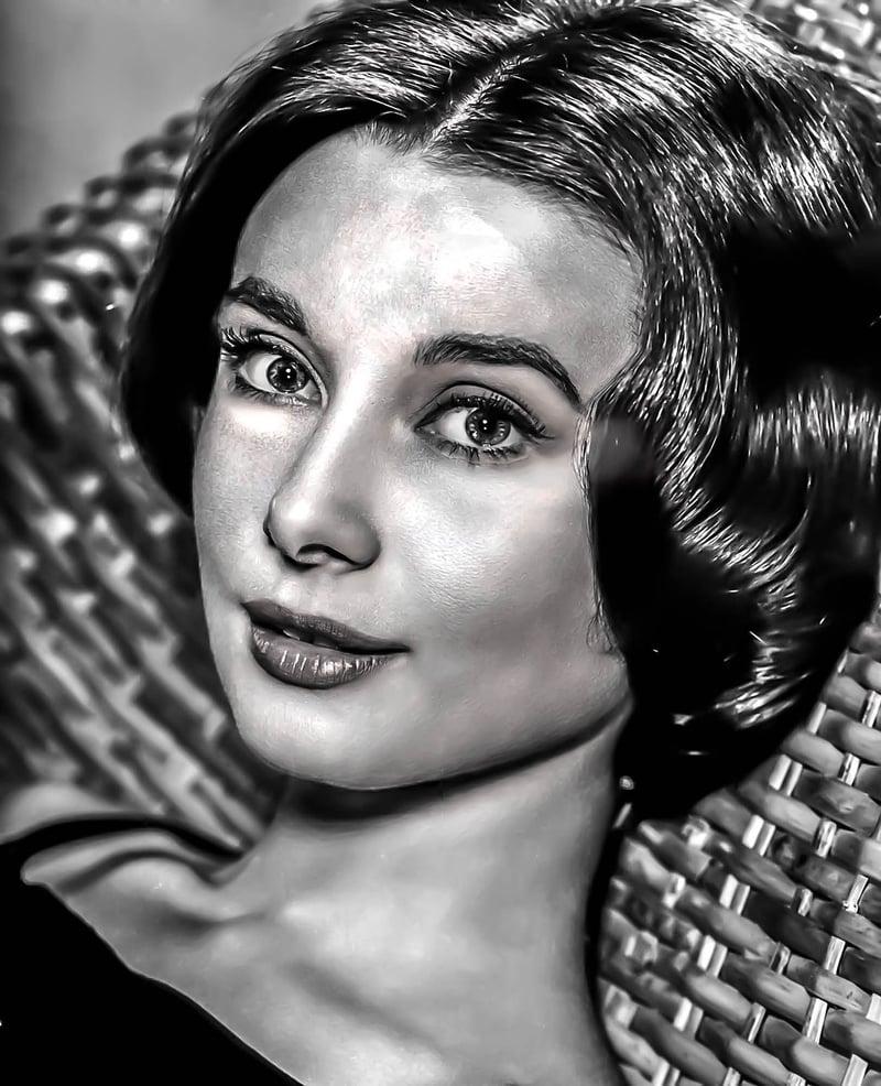 Audrey Hepburn Iconic Look